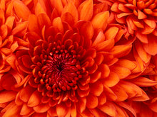 Load image into Gallery viewer, test product1
